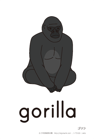 英語絵カード gorilla/ゴリラ