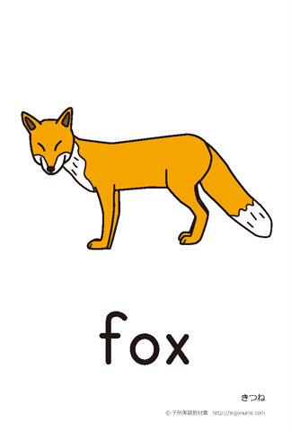 英語絵カード fox/きつね