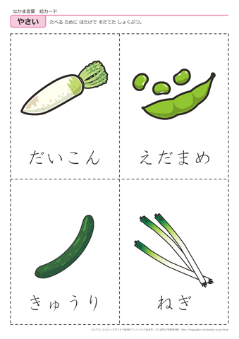 果物・野菜　絵カード -6