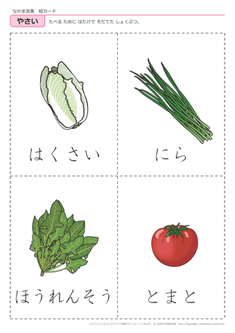 果物・野菜　絵カード -11