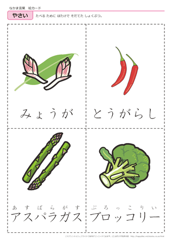 果物・野菜　絵カード -12
