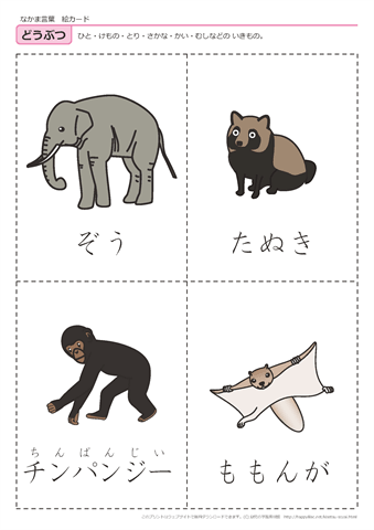 動物　絵カード -4