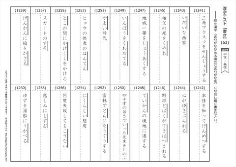 【書き取り】漢字テスト /中学・高校 （63）