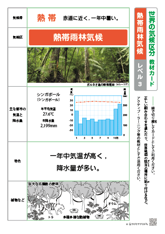 世界の気候区分 教材カード【レベル３】－熱帯雨林気候