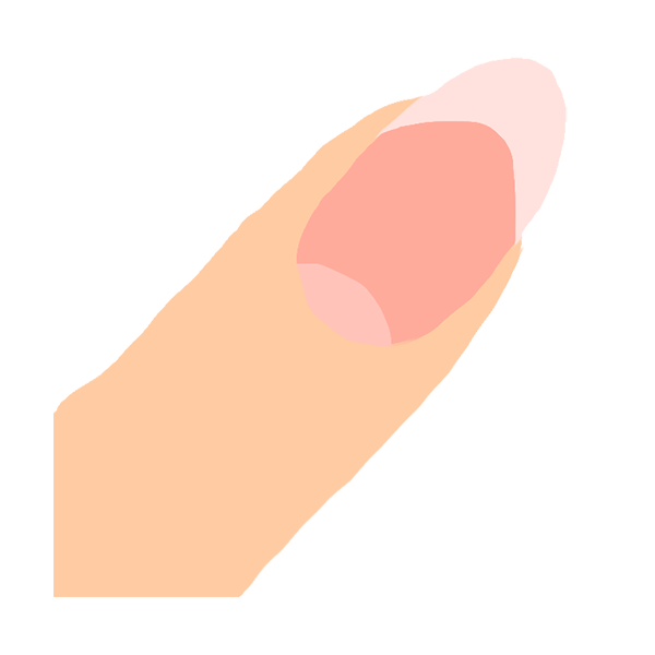 爪の画像
