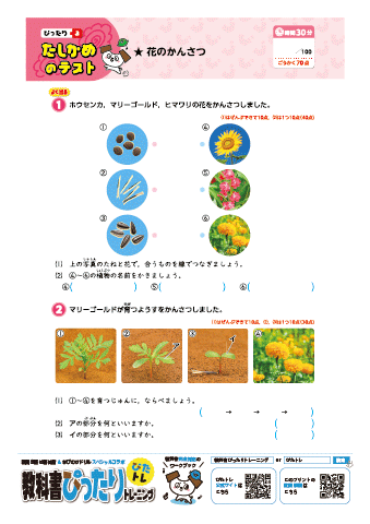 ぴたトレ｜理科３年生-6-1「花のかんさつ」