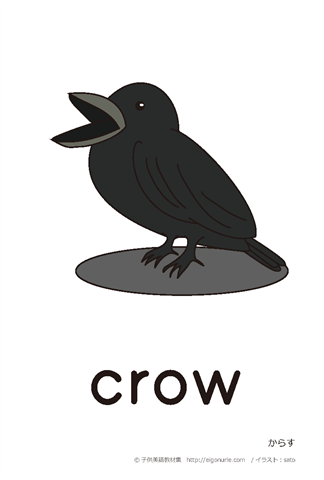 英語絵カード crow/からす