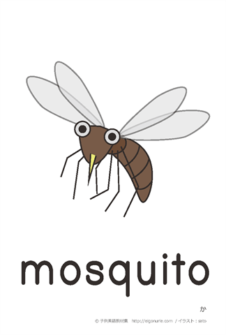 英語絵カード「mosquito/か」
