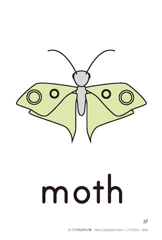 英語絵カード「moth/が