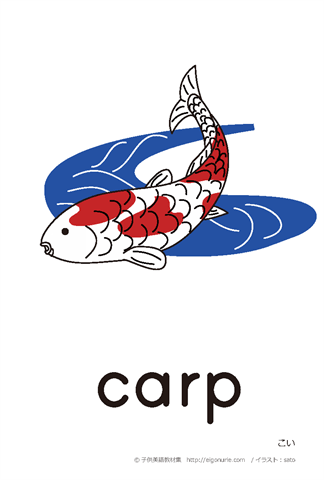 英語絵カード「carp/こい」