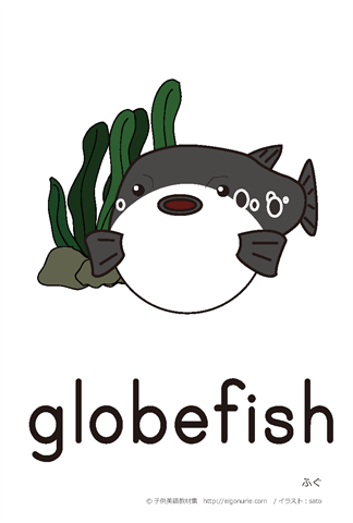 英語絵カード「globefish/ふぐ」