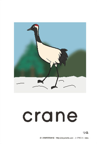 英語絵カード crane/つる