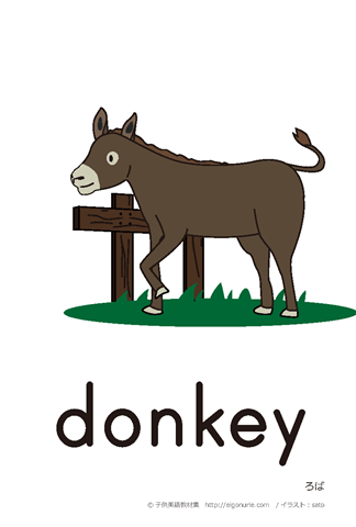 英語絵カード donkey/ろば