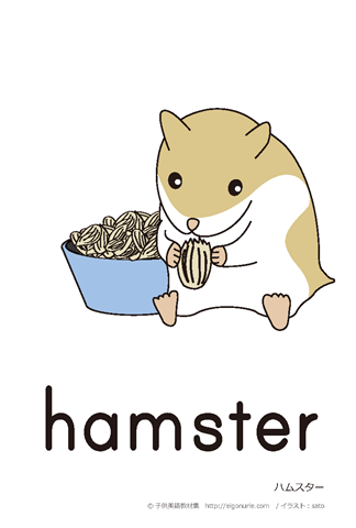 英語絵カード　「hamster/ハムスター」