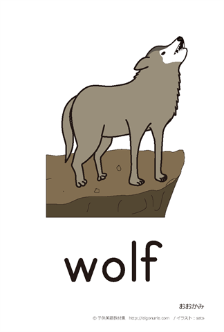 英語絵カード　「wolf/おおかみ」