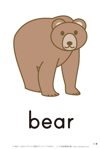 英語絵カード bear/くま