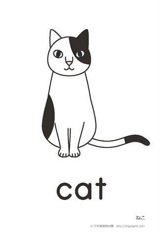 英語絵カード cat/ねこ
