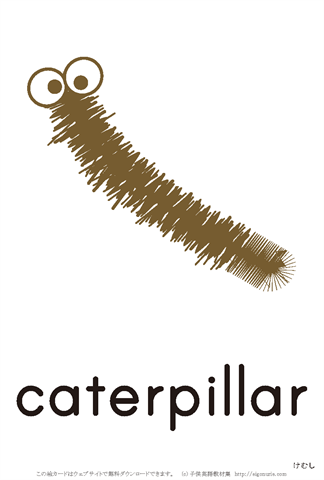 英語絵カード「caterpillar/毛虫」