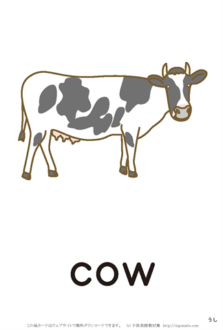 英語絵カード　「cow/うし」