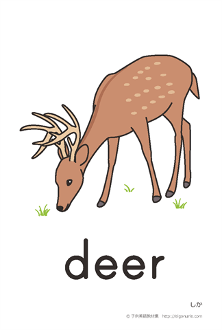 英語絵カード deer/しか