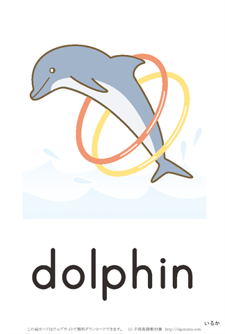英語絵カード「dolphin/いるか」