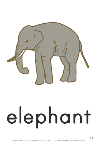 英語絵カード　「elephant/ぞう」