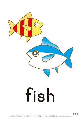 英語絵カード「fish/魚」