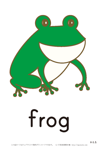 英語絵カード frog/かえる