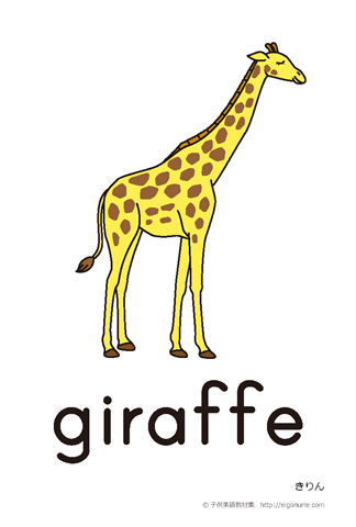 英語絵カード giraffe/きりん