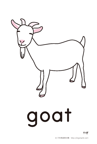 英語絵カード goat/やぎ