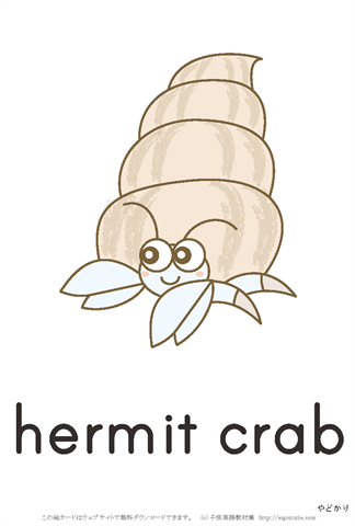 英語絵カード「hermit crab/やどかり」 