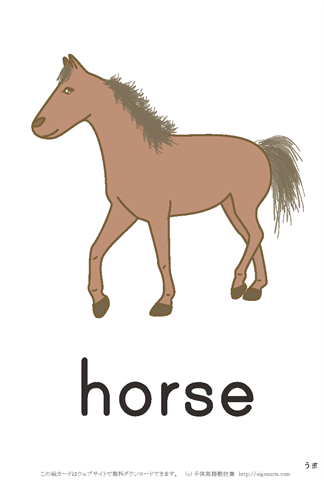 英語絵カード　「horse/うま」