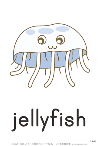 英語絵カード「jellyfish/くらげ」