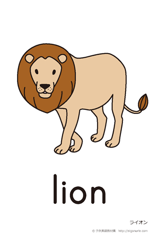 英語絵カード lion/ライオン