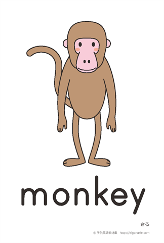 英語絵カード monkey/さる