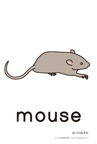 英語絵カード mouse/ねずみ