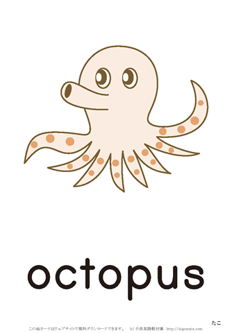 英語絵カード「octopus/たこ」