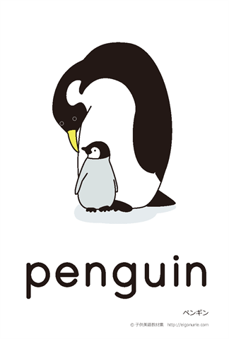 英語絵カード「penguin/ペンギン」 