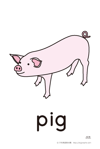 英語絵カード pig/ぶた