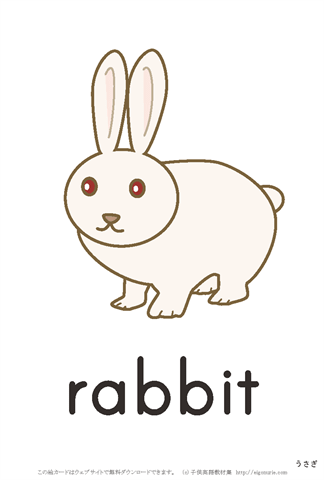 英語絵カード rabbit/うさぎ