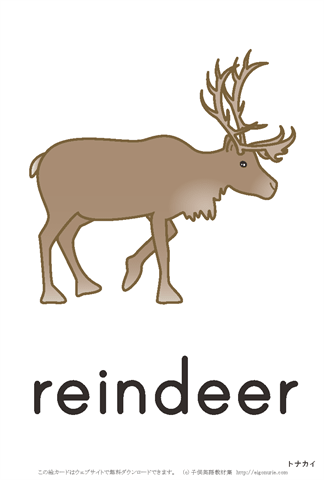 英語絵カード reindeer/となかい