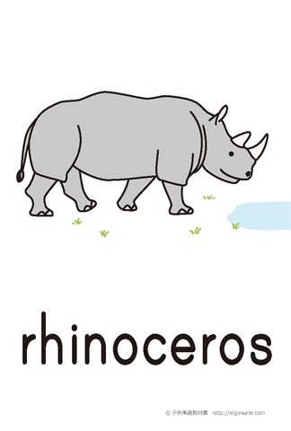 英語絵カード rhinoceros/さい