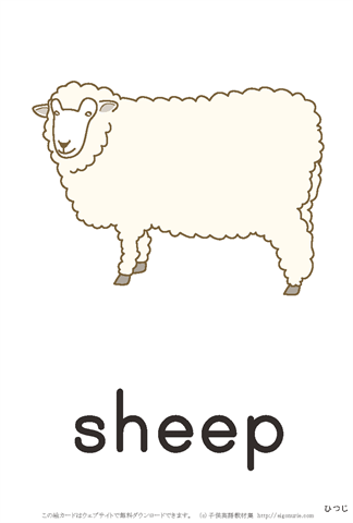 英語　絵カード　「羊」