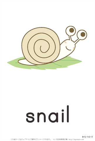 英語絵カード　「snail/かたつむり」