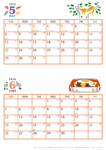 【2016年 ５月～６月】 猫 カレンダー　Ａ４縦-２ヶ月