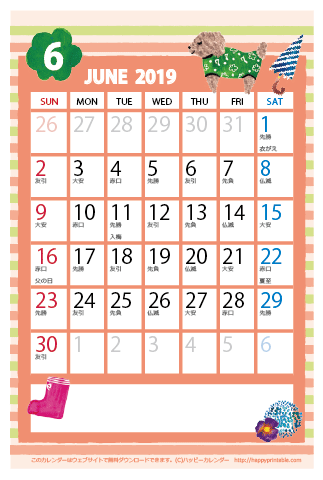 【2019年６月】　かわいいガーリーなイラストカレンダー　はがきサイズ