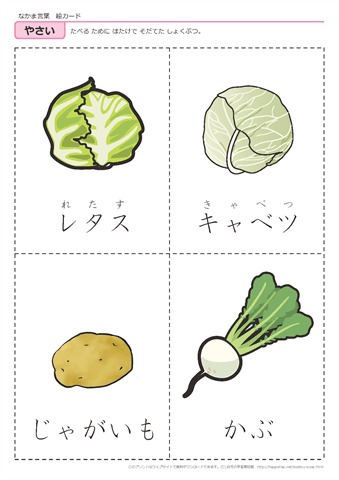 果物・野菜　絵カード -7