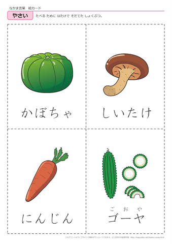 果物・野菜　絵カード -8