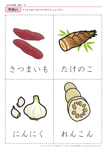 果物・野菜　絵カード -9
