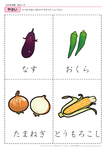 果物・野菜　絵カード -10